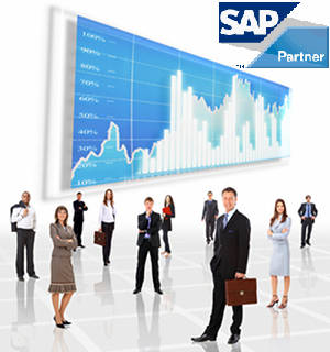 SAP and ERP Experts